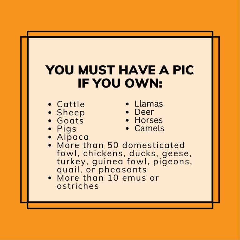 You need a PIC if...