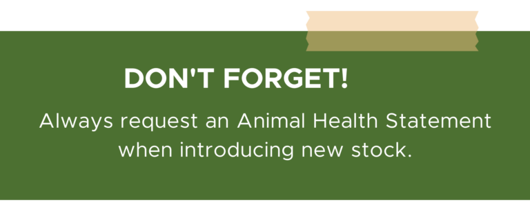 animal health statement