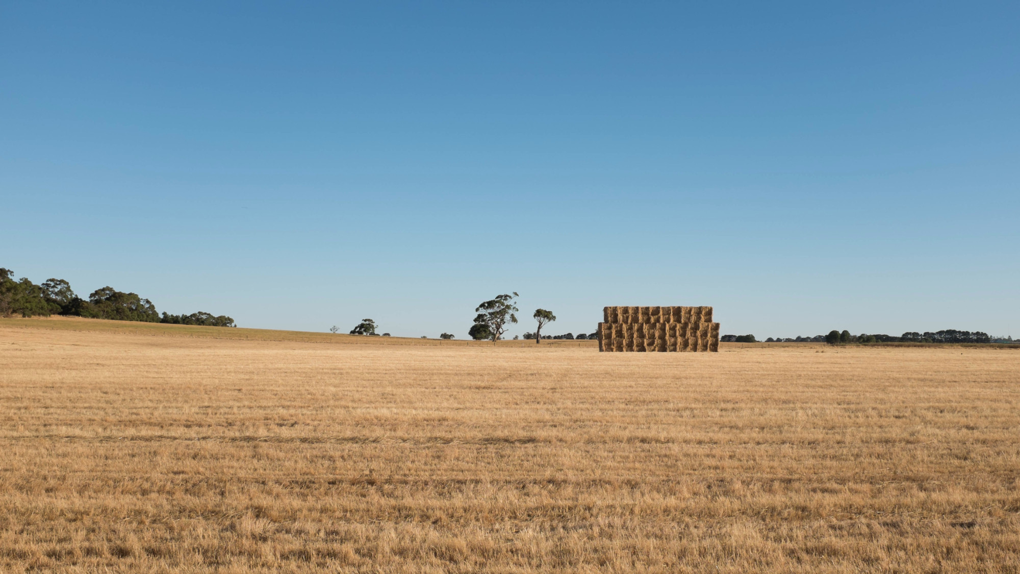 Rural-Victoria-square-hay-bales-2