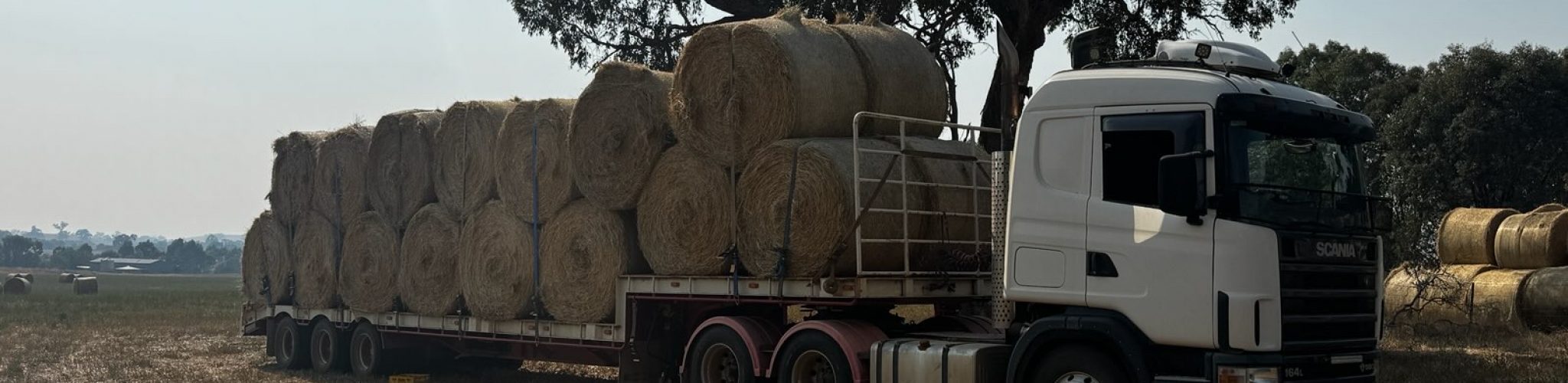 615186022_1329640719200694_6446489250257558238_n